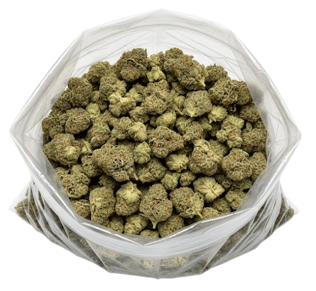THCA Flower Pounds – Wholesale Hemp Flower by the Pound