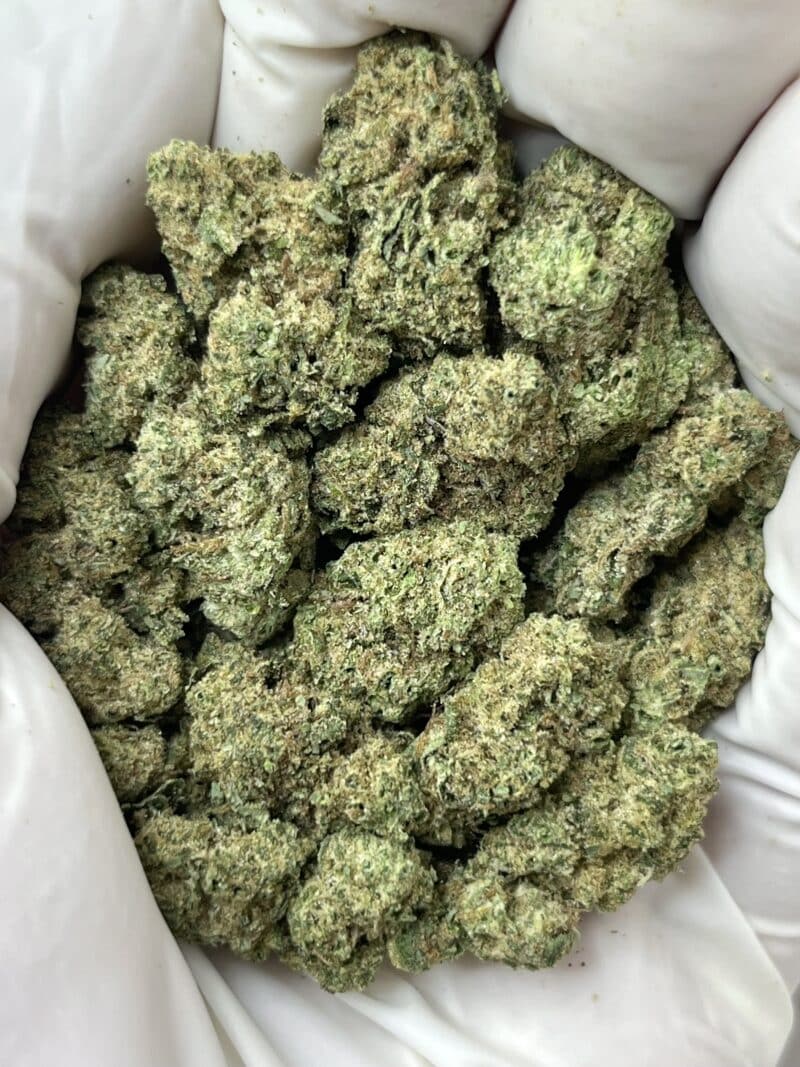 1 Pound THCa Flower - Grape Creamsicle Big