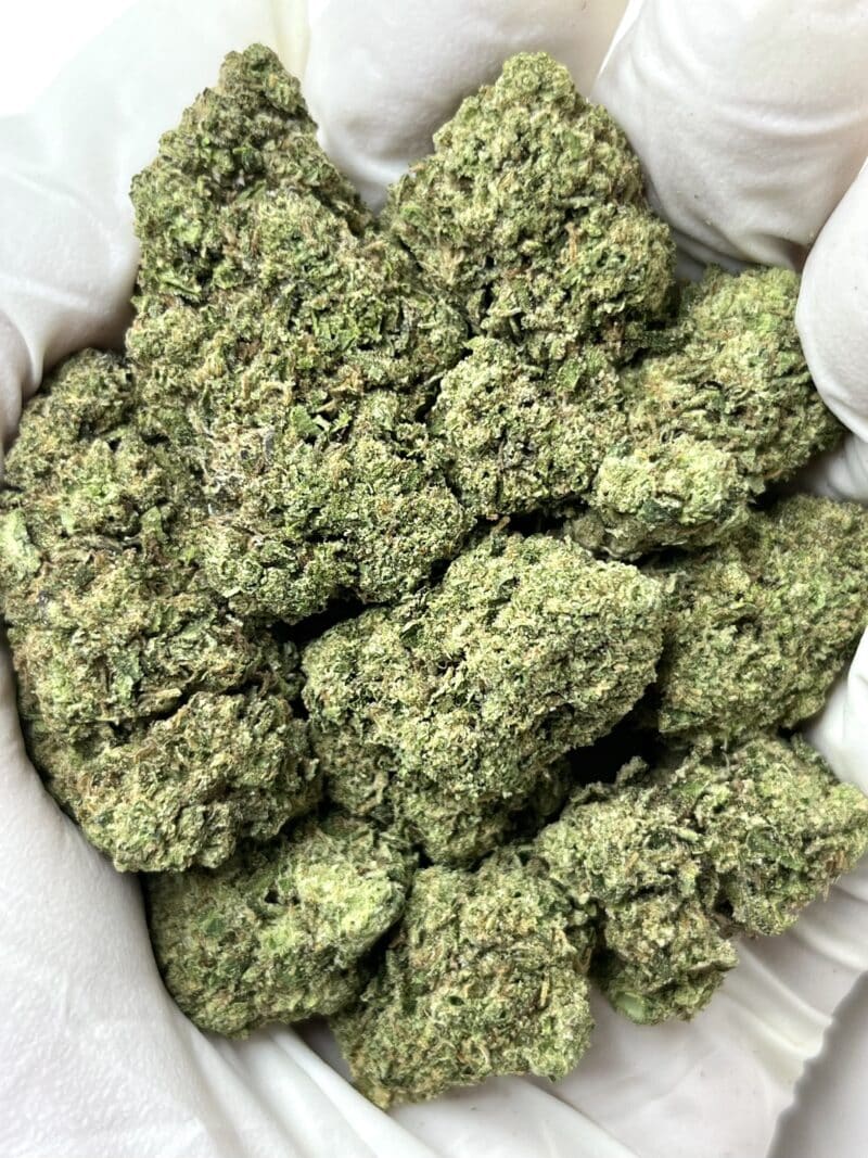 1 Pound THCa Flower - Lemon Cherry Sherbet Big