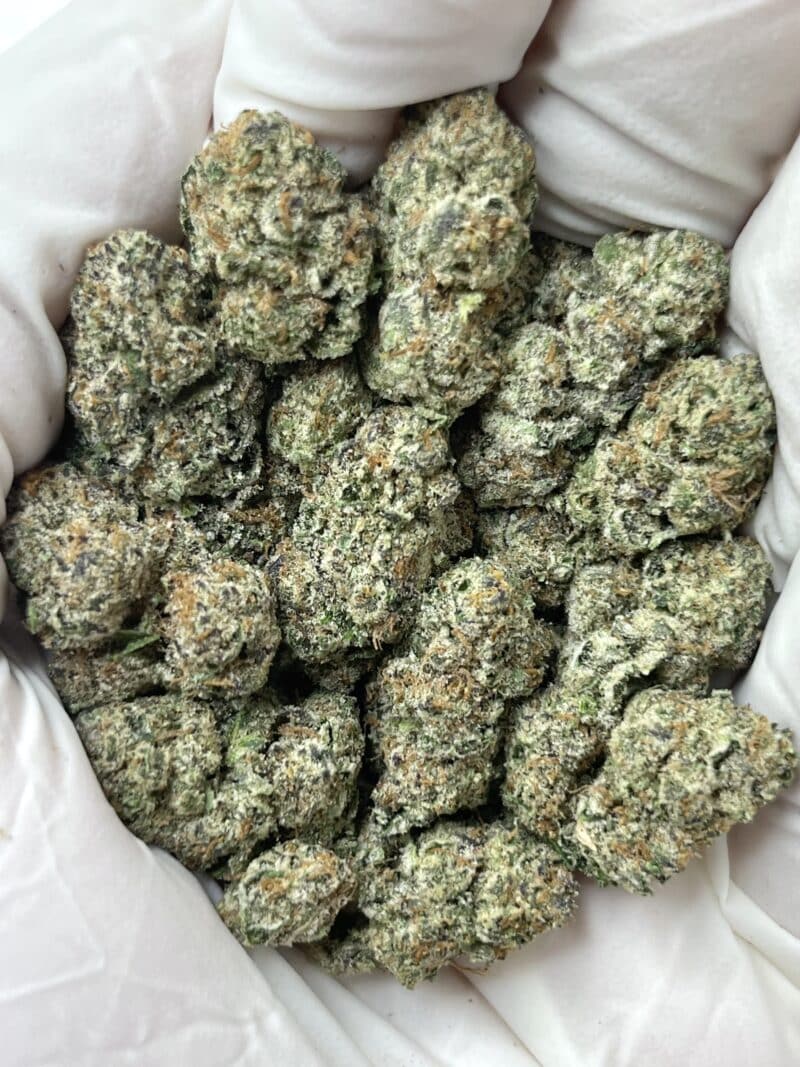 1 Pound THCa Flower - Frosted Popz Big