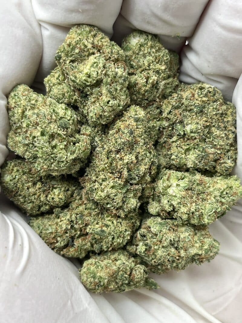 1 Pound THCa Flower - Lilac Diesel Big