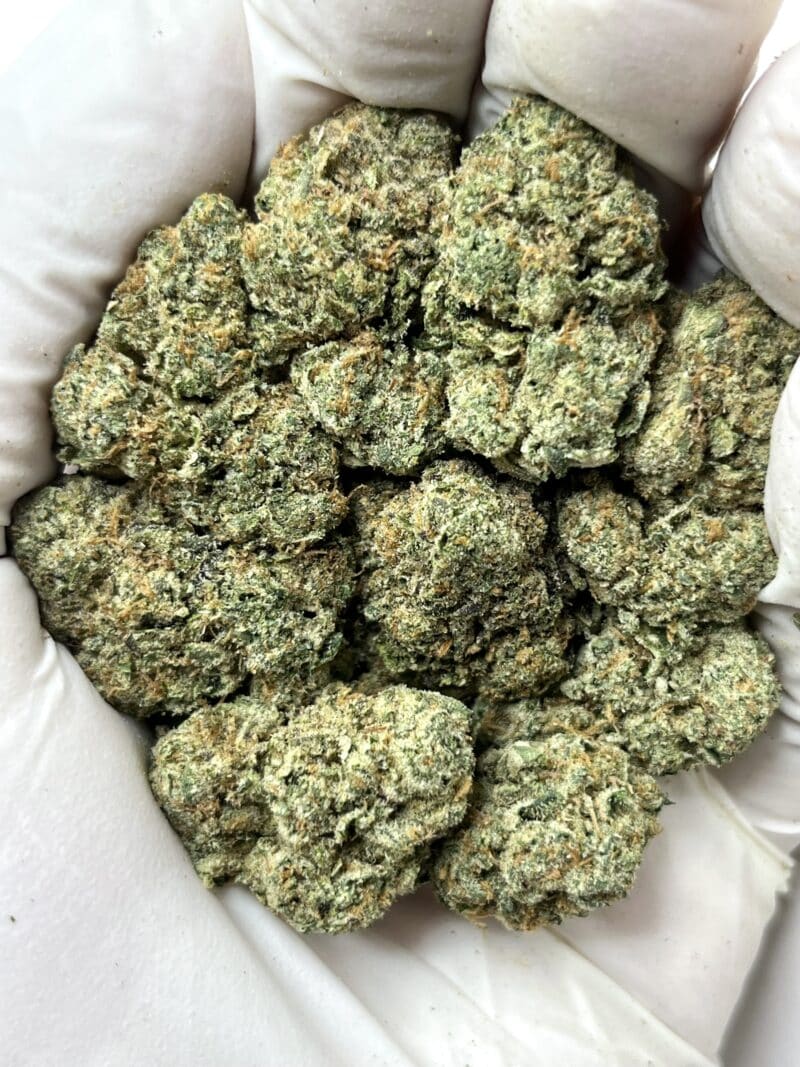 1 Pound THCa Flower - Sugar Flame Big