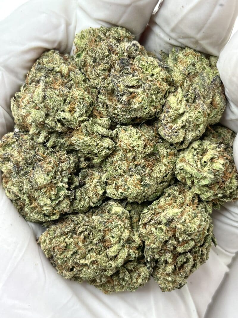 1 Pound THCa Flower - Gas Tank Big