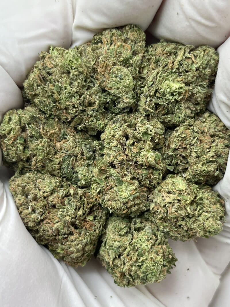 1 Pound THCa Flower - LFG Big