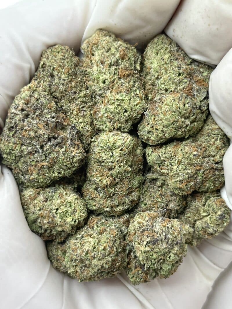 1 Pound THCa Flower - Galactic Cake Big