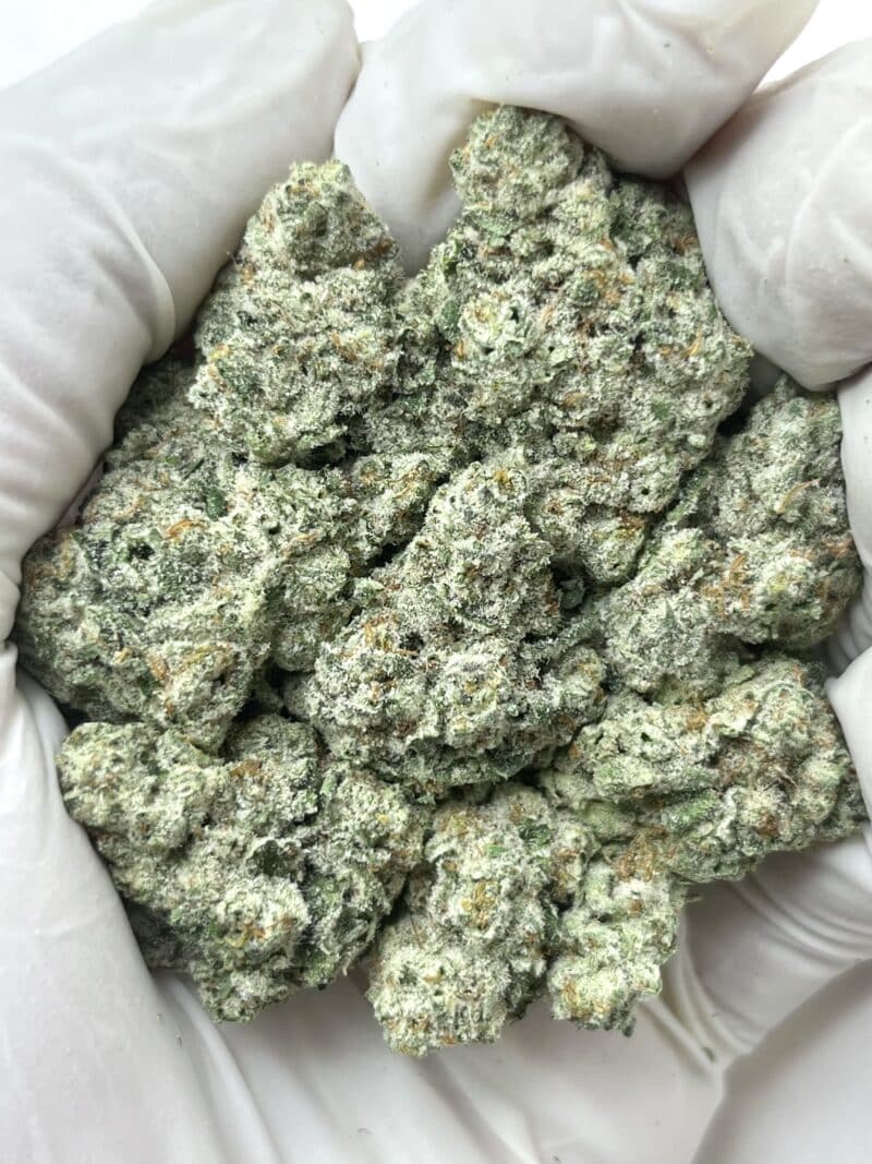 1 Pound THCa Flower - Jucy J Big