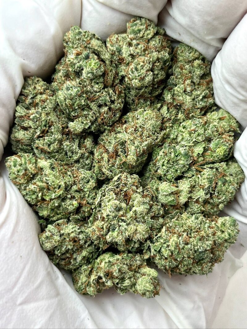 1 Pound THCa Flower - Lilac Diesel Big