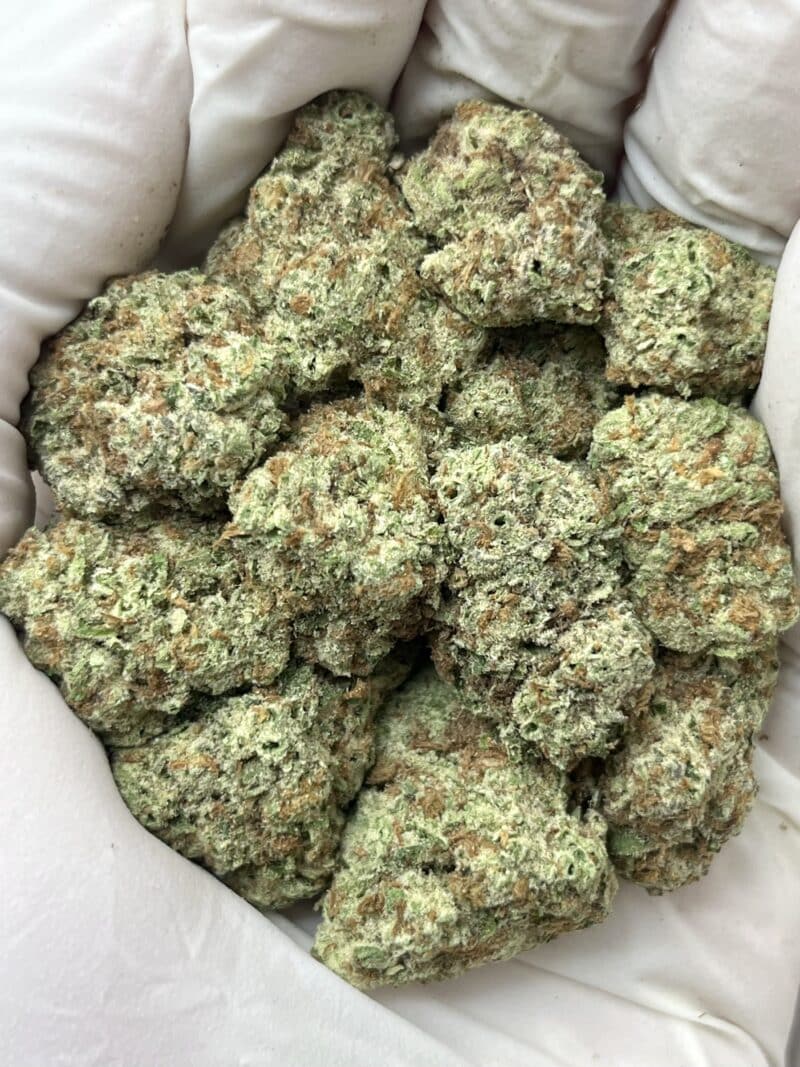 1 Pound THCa Flower - Papaya Big