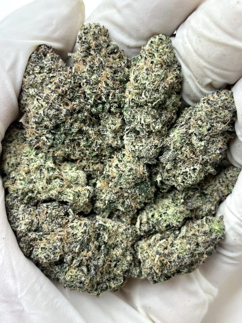 1 Pound THCa Flower - Blue Berry Soda Big