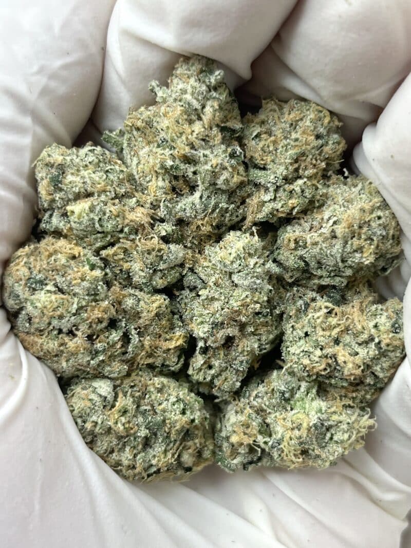 1 Pound THCa Flower - Huster Fuel Big