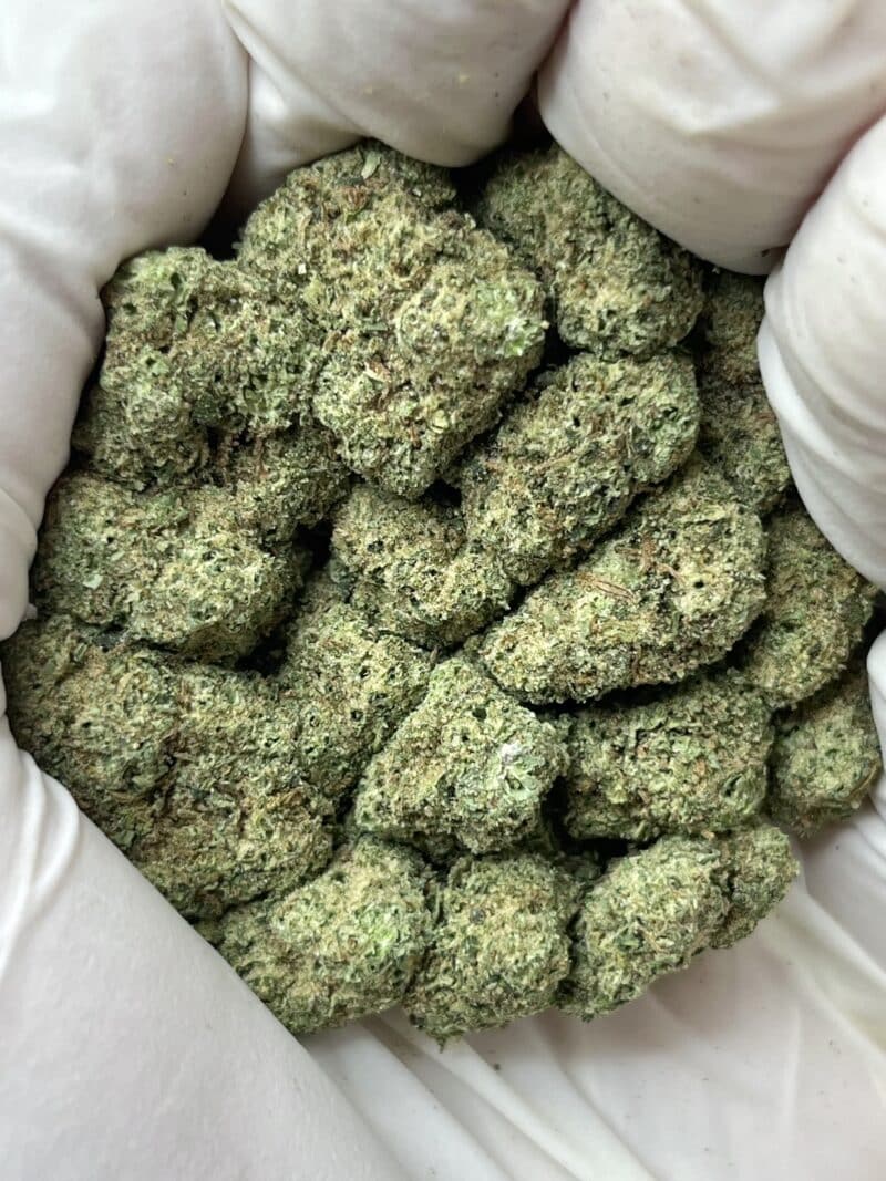 1 Pound THCa Flower - White Runtz Big