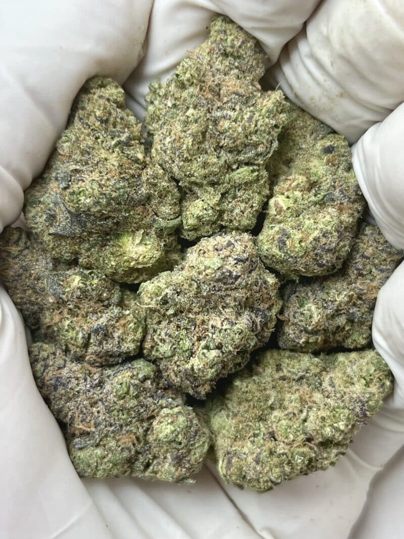 1 Pound THCa Flower - Gush Mintz Big