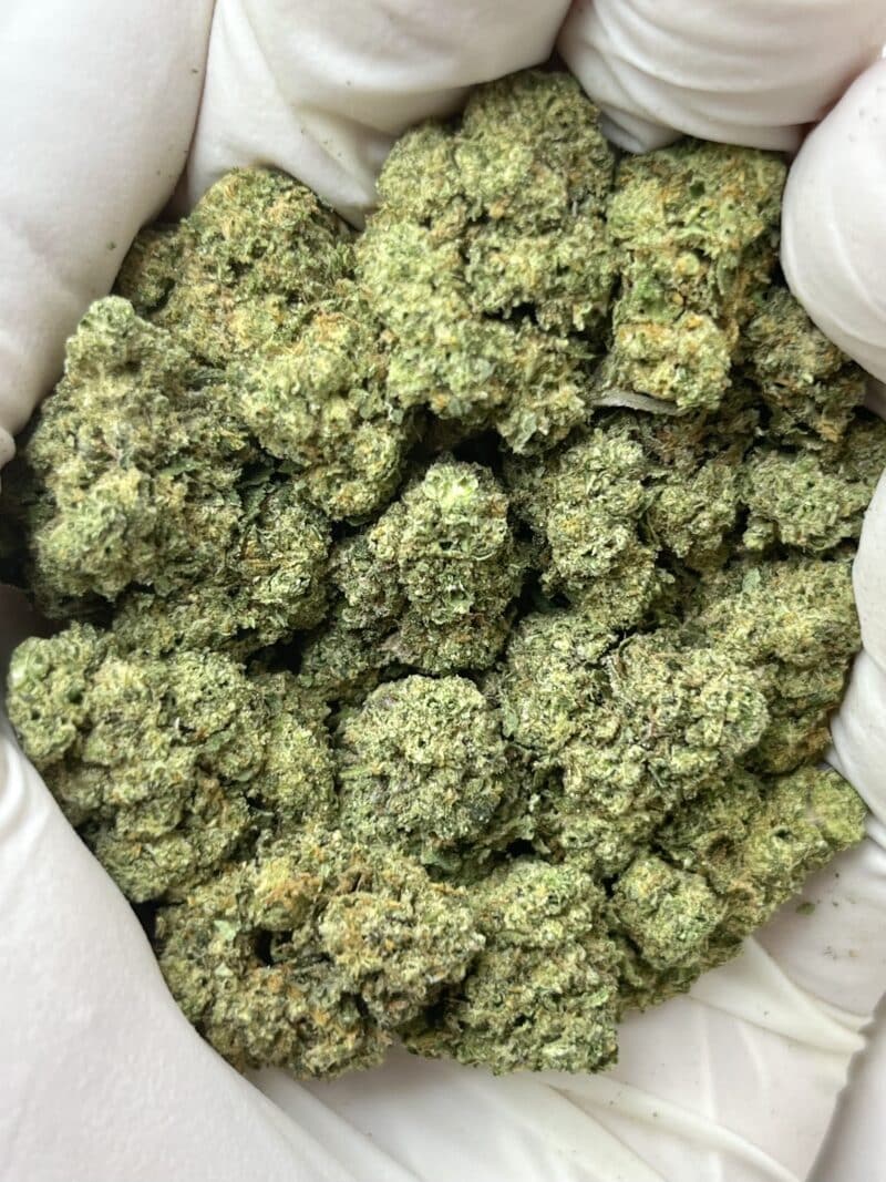 1 Pound THCa Flower - Poison Gushers Big