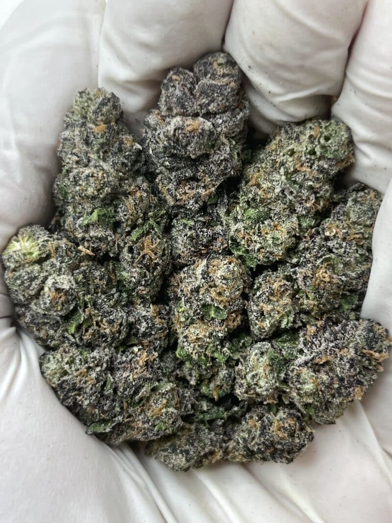 1 Pound THCa Flower - Candy Cartel Big