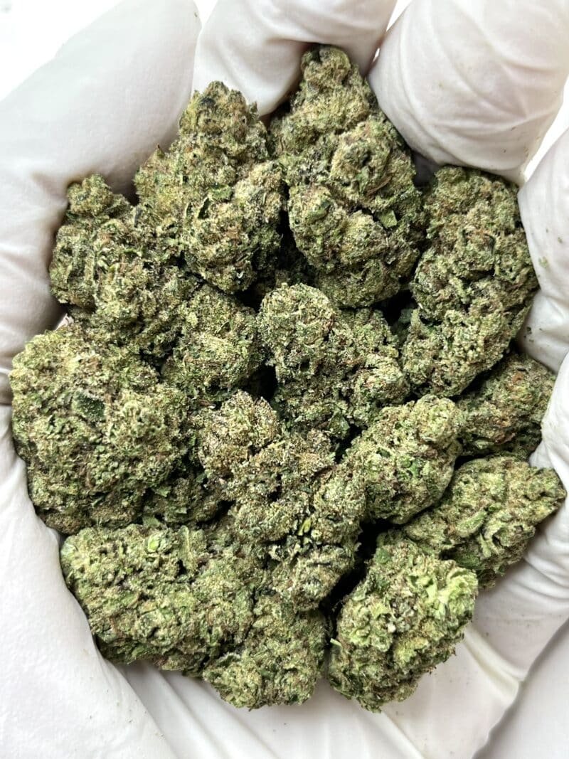 1 Pound THCa Flower - Candy Runtz Big