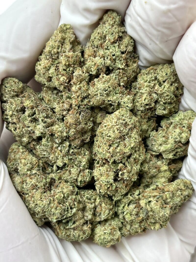 1 Pound THCa Flower - Cheetah Piss Big