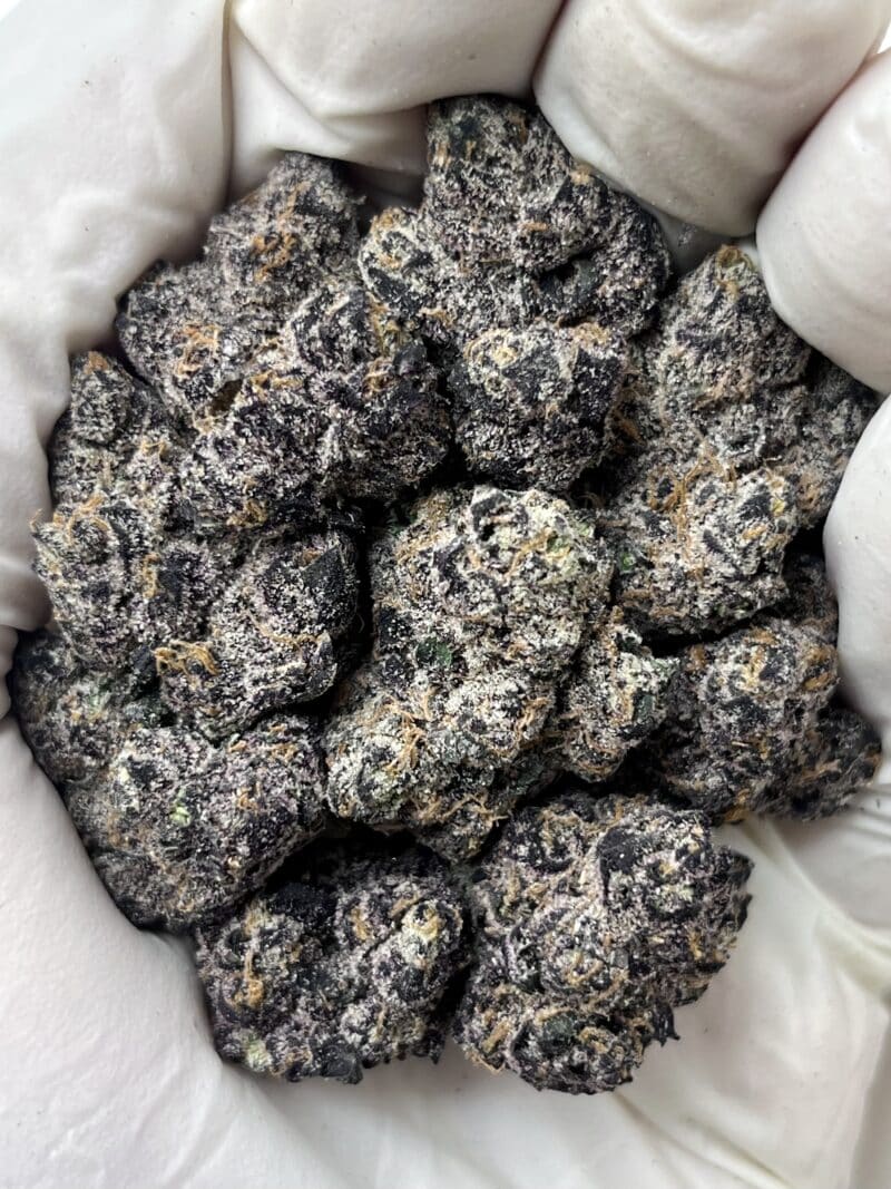 1 Pound THCa Flower - Archive Runtz Big