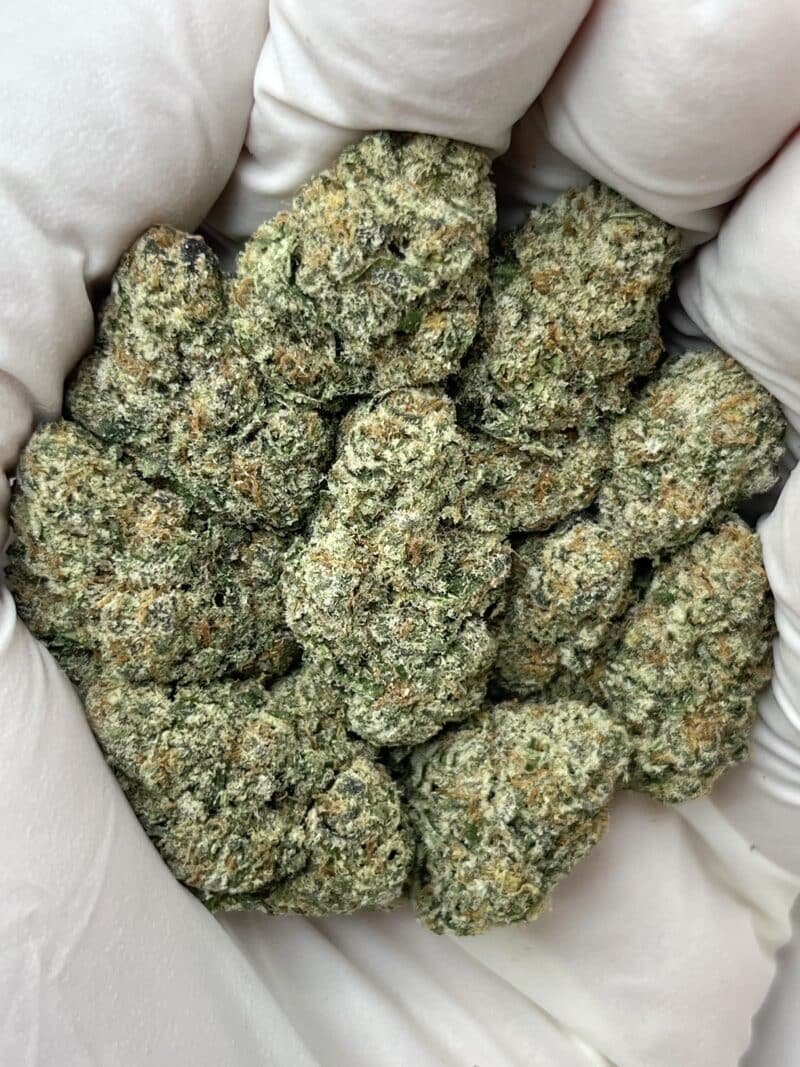 1 Pound THCa Flower - Triple Scoop Big