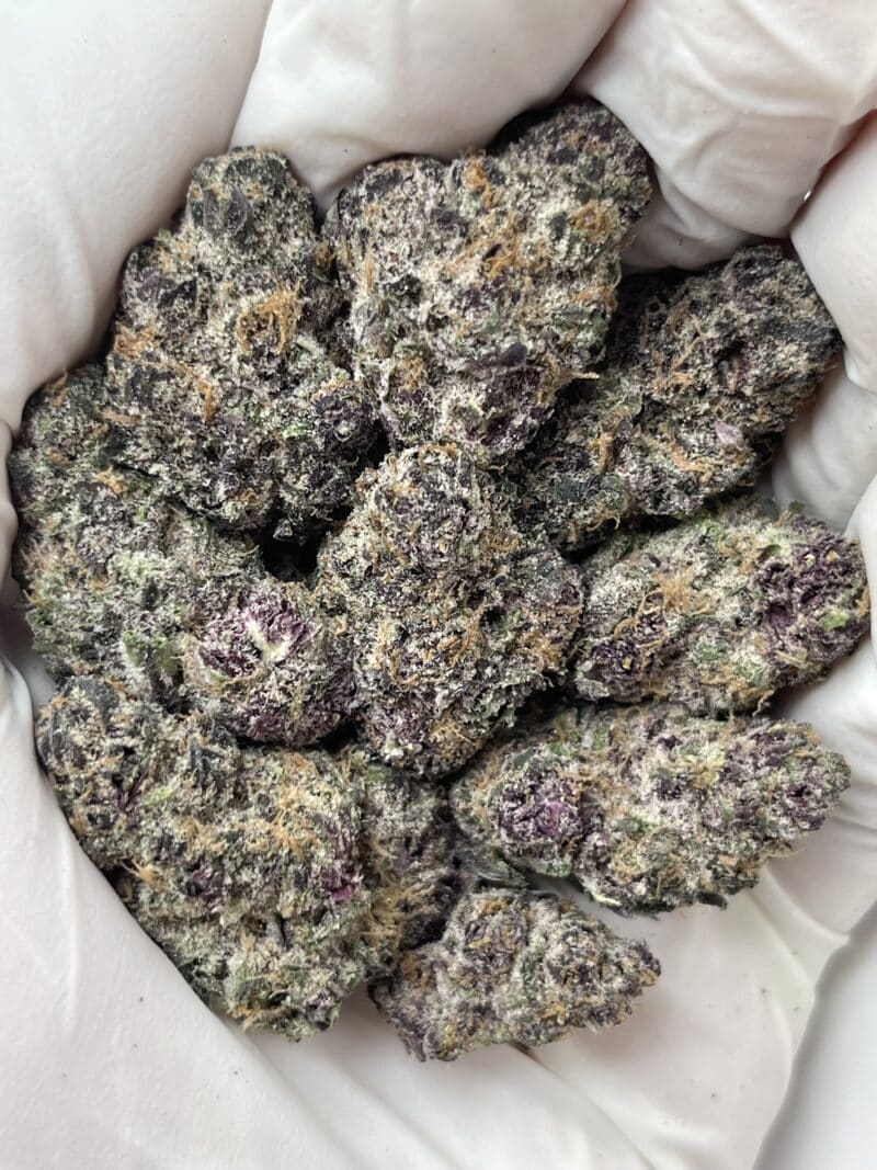 1 Pound THCa Flower - Blockberry Big