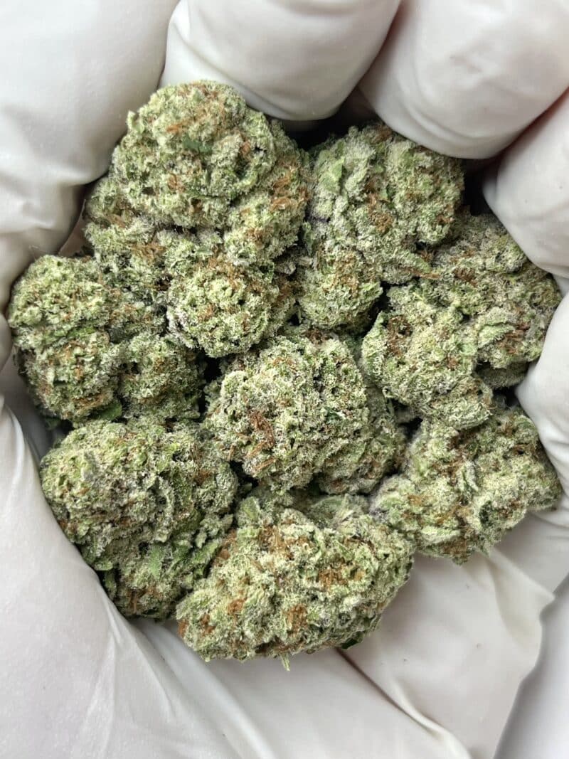 1 Pound THCa Flower - Papaya Punch Big