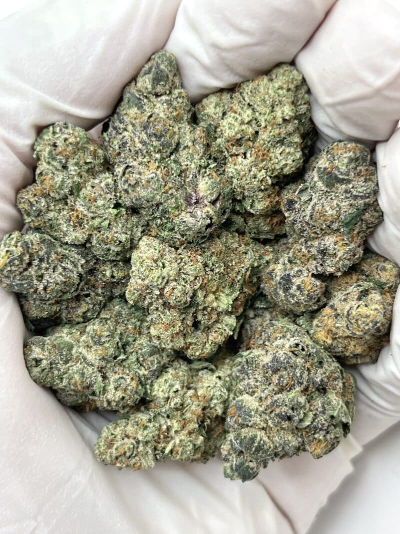 1 Pound THCa Flower - Tropicana Gelato Big