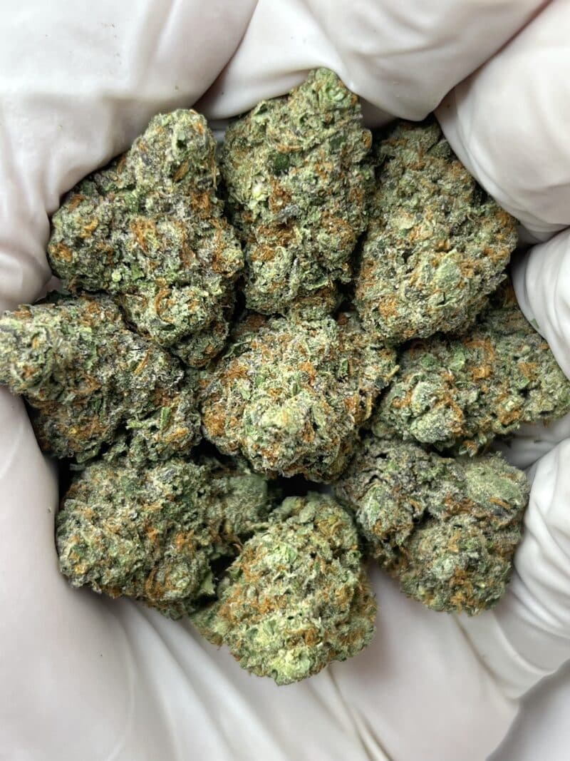 1 Pound THCa Flower - Pinyatti Big