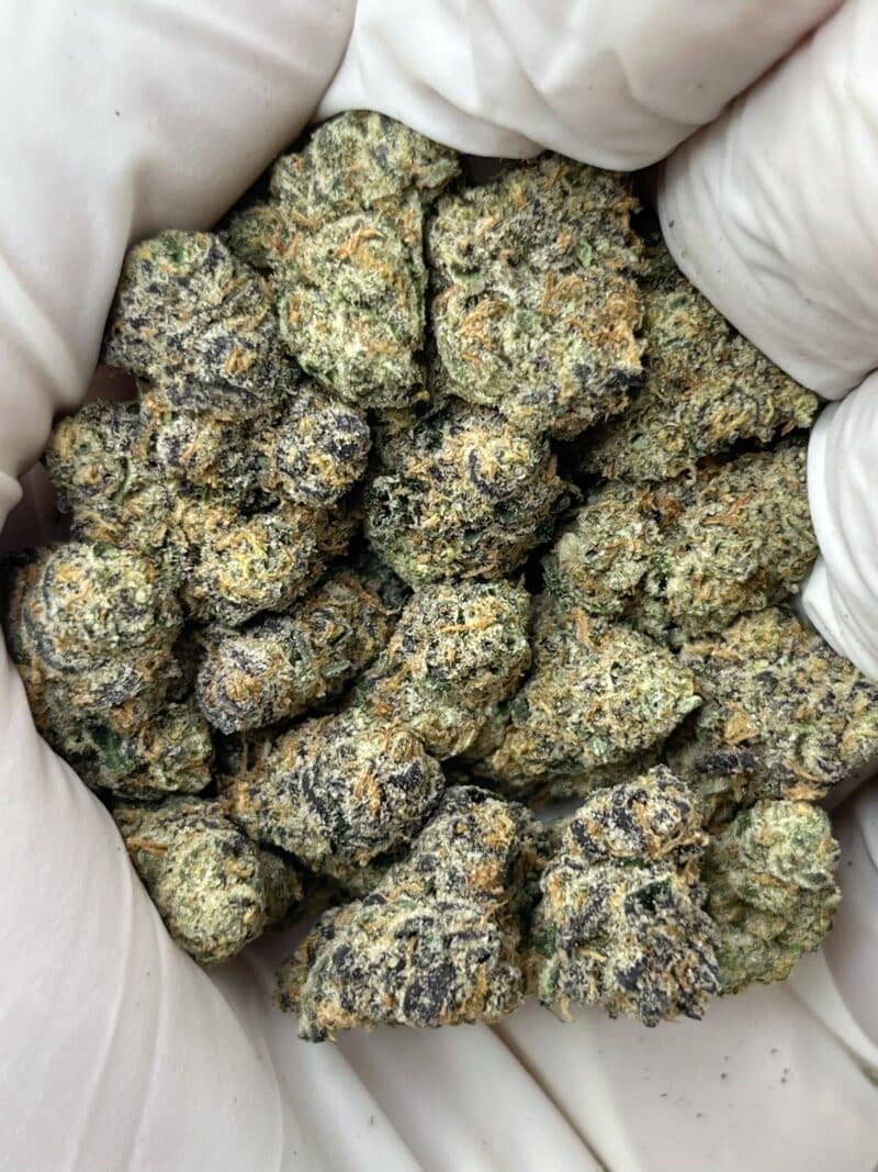 1 Pound THCa Flower - Applescotti (Smalls)