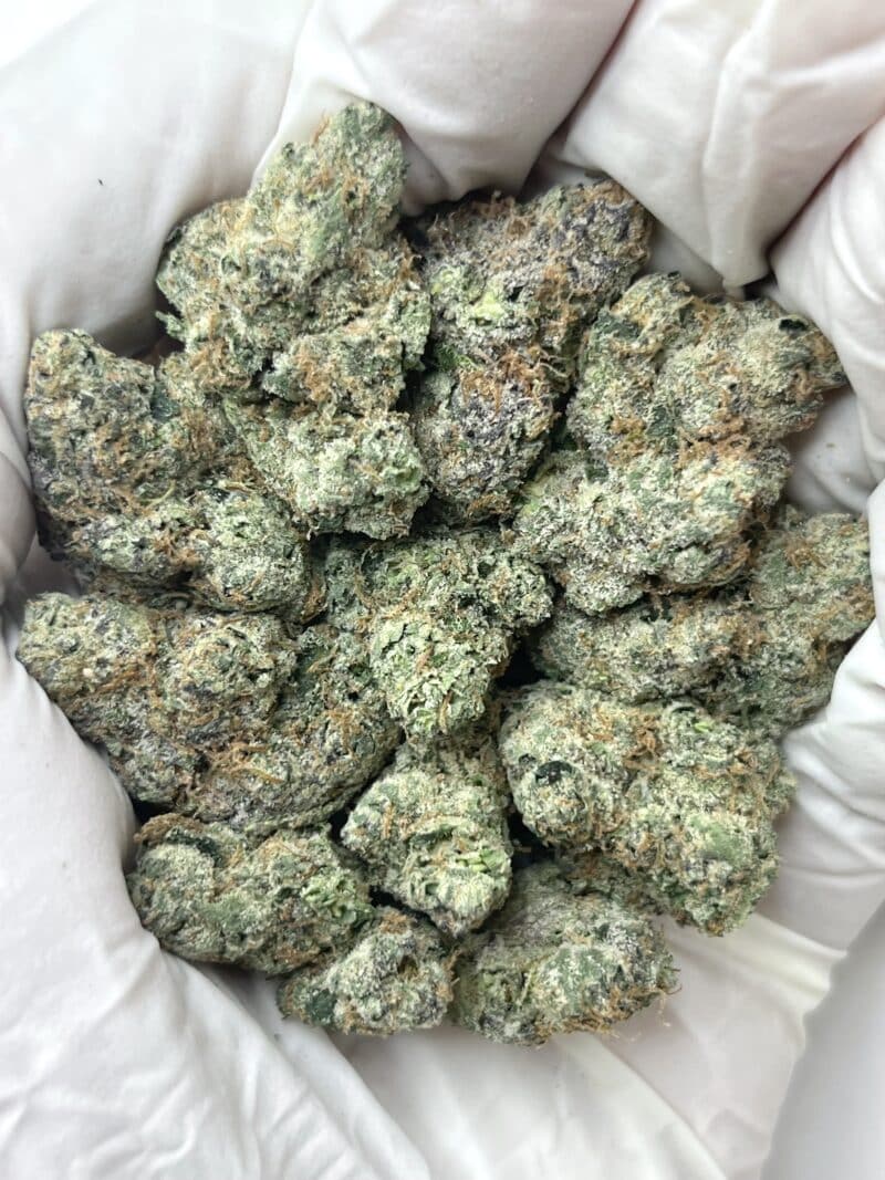 1 Pound THCa Flower - Uncle Snoop Big