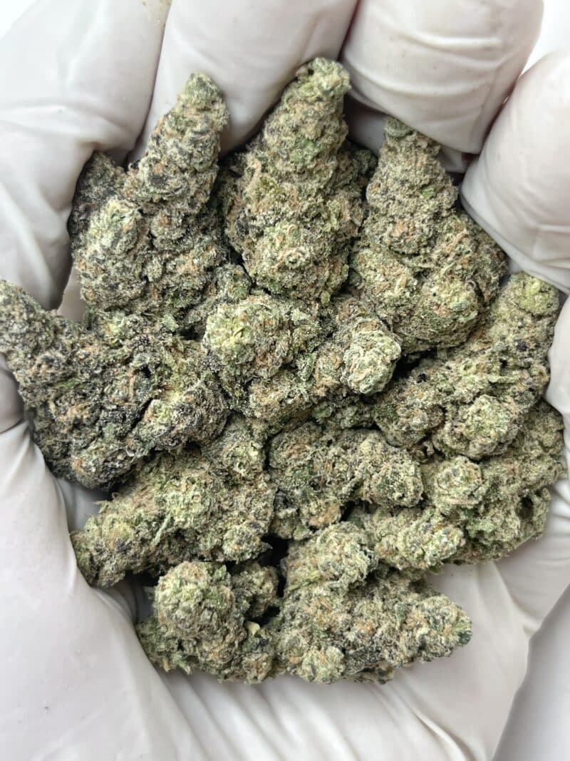 1 Pound THCa Flower - Purple Gushers Big