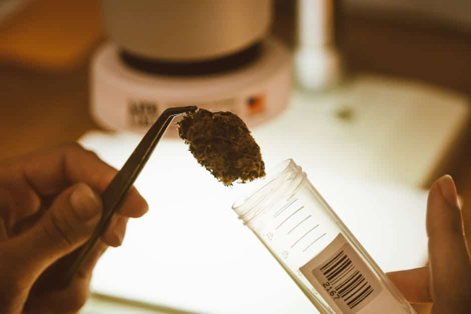 Lab testing of THCA flower showing scientific equipment and results analysis