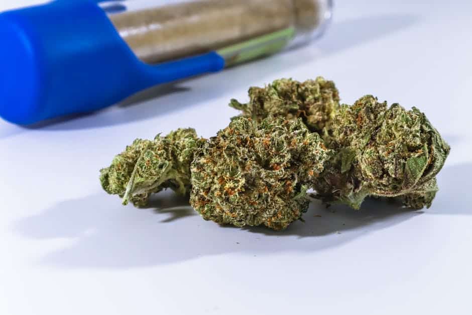 Close-up of premium THCA flower strains showcasing vibrant colors and crystal trichomes
