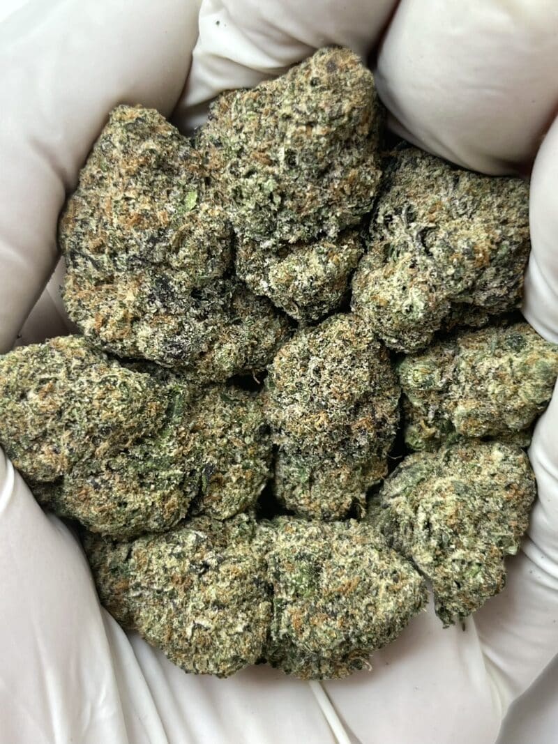 SH Runtz THCA flower buds