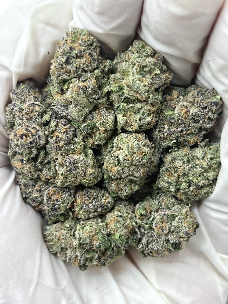 1 Pound THCa Flower - Candy Cartel Big