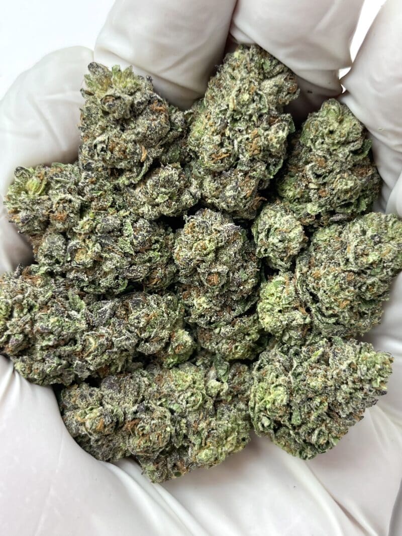 1 Pound THCa Flower - Cherry Shortcake Big
