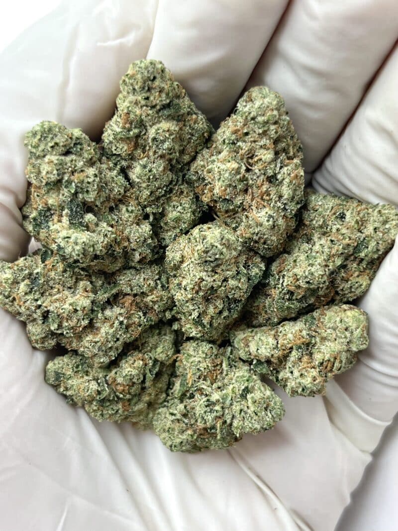 1 Pound THCa Flower - Cali OG Big