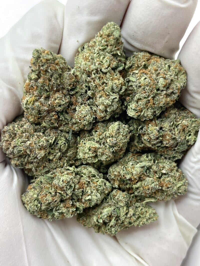 Trainwreck Express THCA flower buds