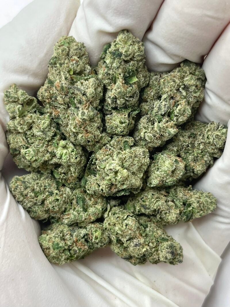 1 Pound THCa Flower - Donny Burger Big