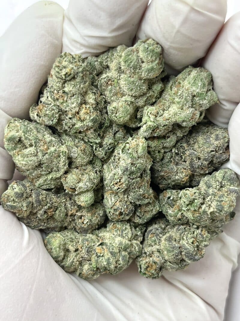 1 Pound THCa Flower - Cheetah Piss x Zuchi Big