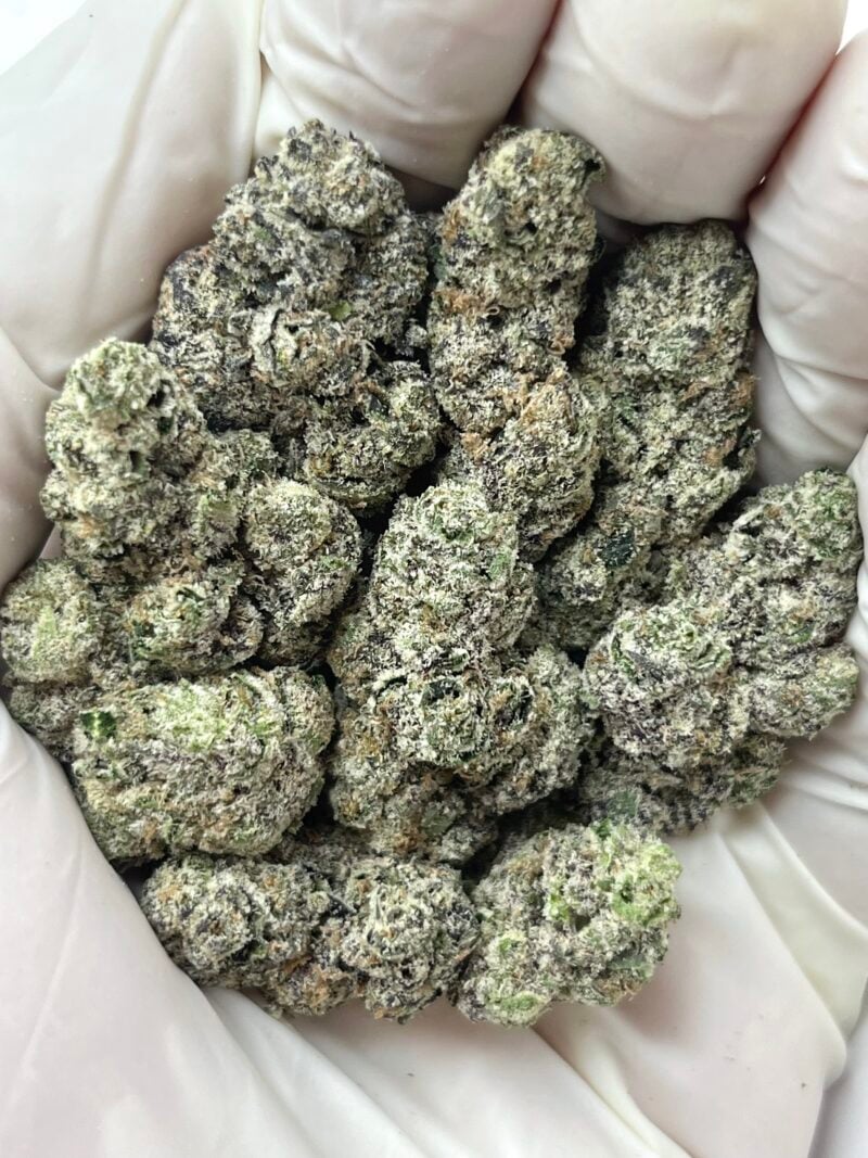 1 Pound THCa Flower - Presidential Runtz Big