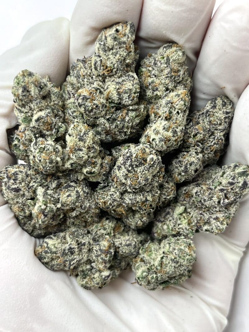 1 Pound THCa Flower - White Runtz x GMO Big