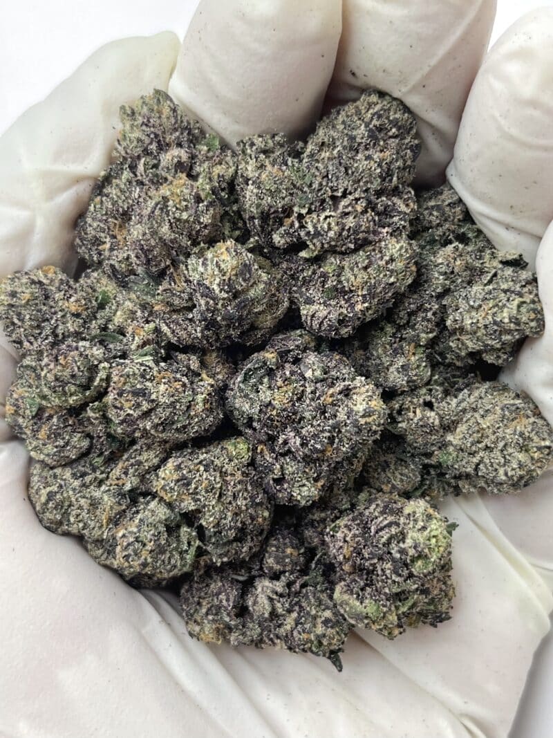 1 Pound THCa Flower - Jokerz x Gelato 41 Big