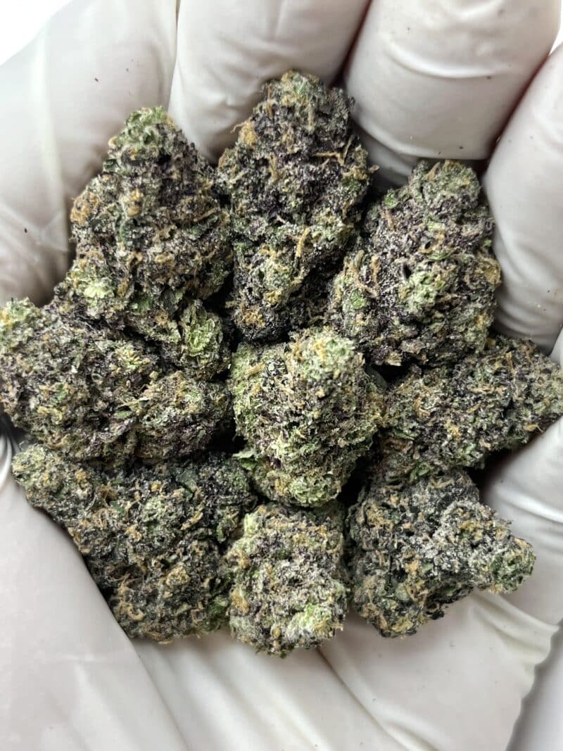 1 Pound THCa Flower - Halloween Candyz Big