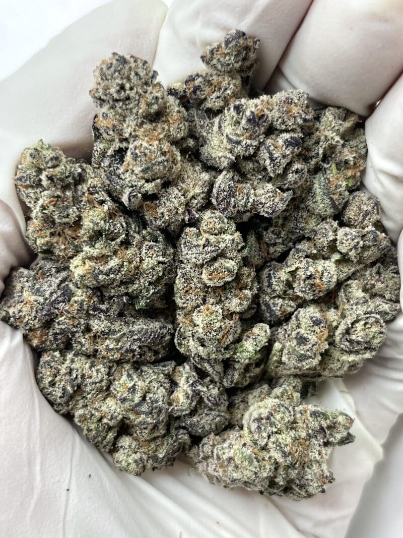 1 Pound THCa Flower - Glitterbomb Big