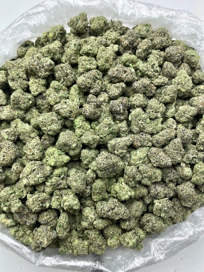1 Pound THCa Flower - AK-47 Big