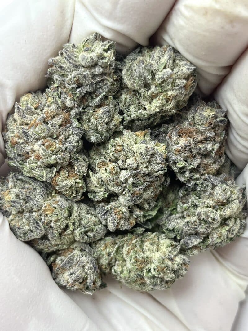1 Pound THCa Flower - Monster Cookies Big