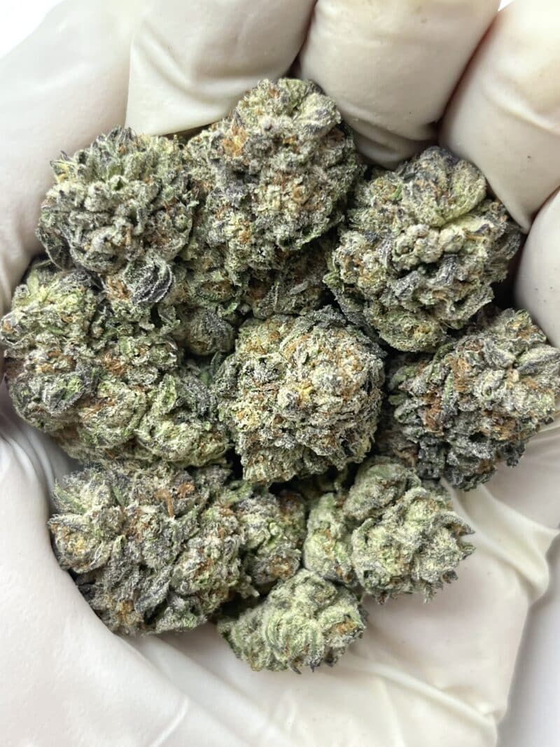 1 Pound THCa Flower - Oreoz Big