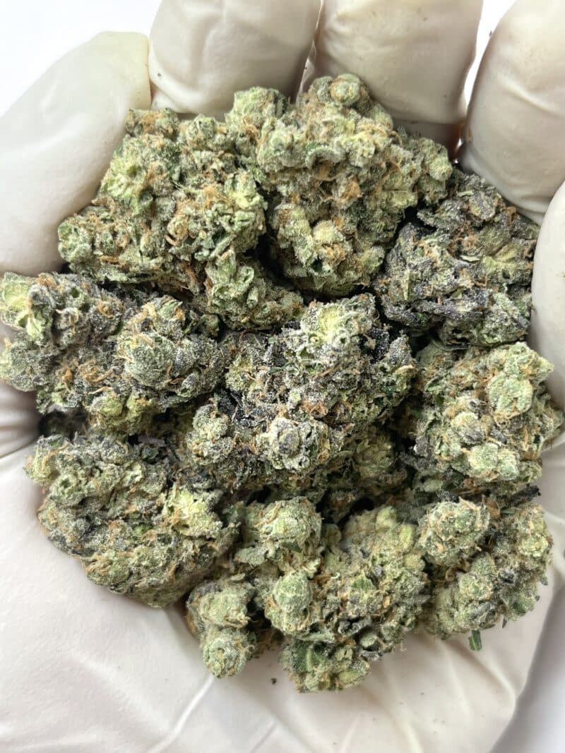 1 Pound THCa Flower - Gary Payton Big