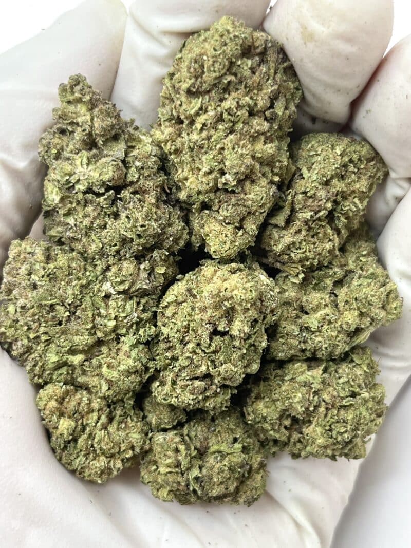 1 Pound THCa Flower - Purple Push Pop Big
