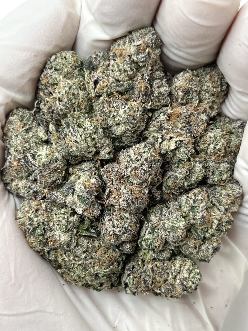 1 Pound THCa Flower - Trap Candy Big