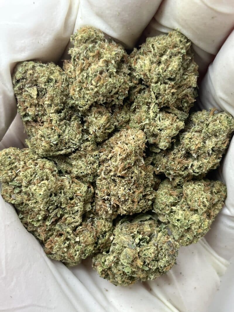 1 Pound THCa Flower - English Tea Big